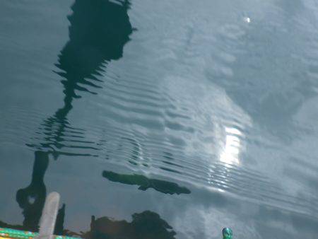 カヤックジギング